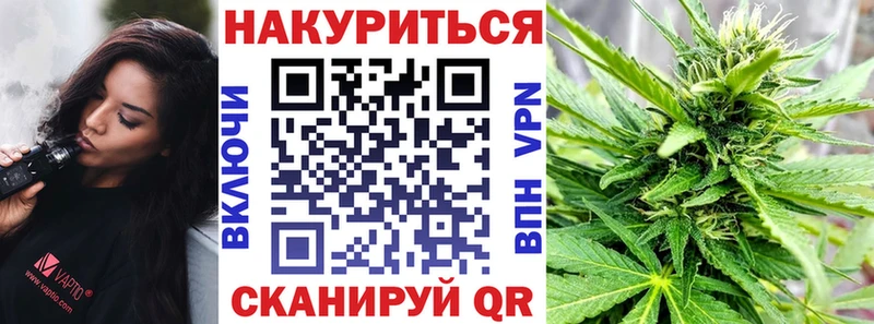 Шишки марихуана SATIVA & INDICA  сколько стоит  Андреаполь 